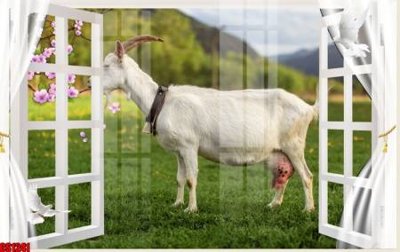 Tải file gốc in lụa File tranh gốc cửa sổ 3D CS1241 siêu nét