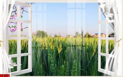 Tải file gốc File tranh gốc cửa sổ 3D CS1501 (để in lụa)