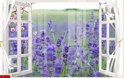 File tranh gốc File tranh gốc cửa sổ 3D CS1508 (bản đẹp) độc quyền