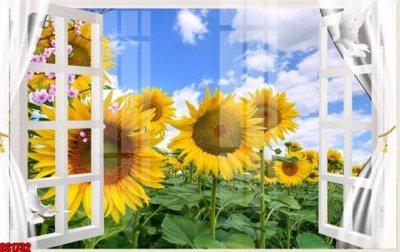 File tranh File tranh gốc cửa sổ 3D CS1732 (gốc) in trên kính