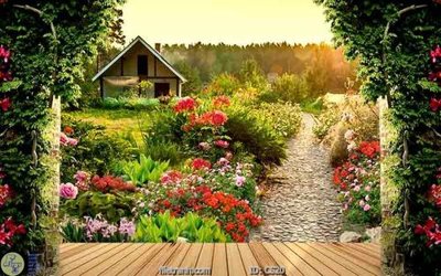 File gốc File gốc cửa sổ 3D CS20 (in tráng gương) ốp tường