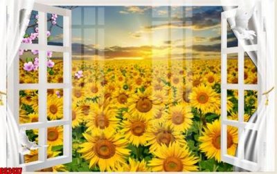 File in trần File tranh gốc cửa sổ 3D CS2437 (bản gốc) đại dương