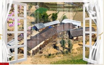 File in mica File tranh gốc cửa sổ 3D CS2506 (bản gốc) làm vách ngăn