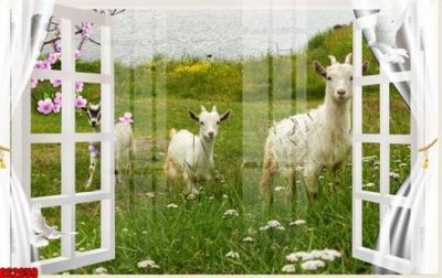 Tải file File tranh gốc cửa sổ 3D CS2659 (ảnh gốc) độ phân giải 300dpi