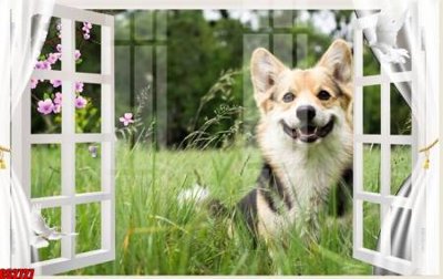 File PSD File tranh gốc cửa sổ 3D CS2727 (bản gốc) dễ dàng edit