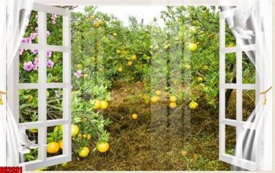 Tải file tranh File tranh gốc cửa sổ 3D CS2831 (ảnh gốc) ngay