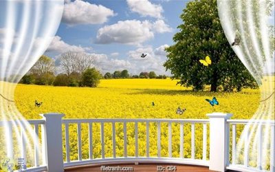 File tranh trang trí File gốc cửa sổ 3D CS4 (file gốc)