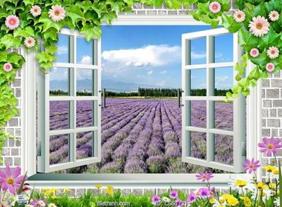 File gốc in ấn File gốc cửa sổ 3D CS60 (sẵn sàng tải về)