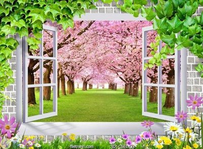 File PSD File gốc cửa sổ 3D CS61 (gốc) cho in quảng cáo