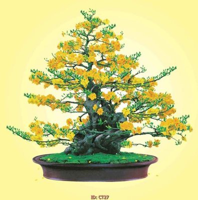 Download file gốc File tranh tài lộc CT27 (in mica) trong suốt