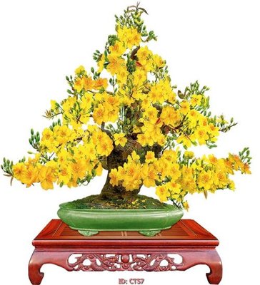 File ảnh File tranh tài lộc CT57 (gốc) cho trang trí nhà hàng