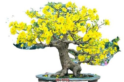 File gốc File tranh tài lộc CT58 (in ấn) màu sắc trung thực