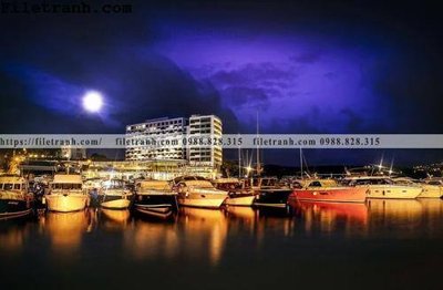 File gốc Canh dem thanh pho 316 (dành cho quảng cáo)