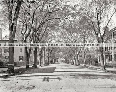 Tải file gốc Chestnut Street_ 1906 (in tráng gương) cao cấpFile gốc Chestnut Street_ 1906 (in ấn) phiên bản độc quyền