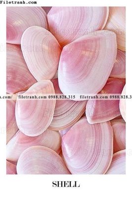 Ảnh gốc Chuoi tham my bac au 131 (độ nét cao) in tráng gương