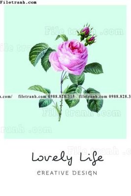 File gốc Chuoi tham my bac au 138 (AI/EPS) cho in ấn