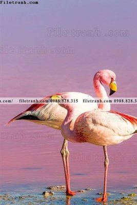 File tranh quảng cáo Chuoi tham my bac au 147 (download file gốc)