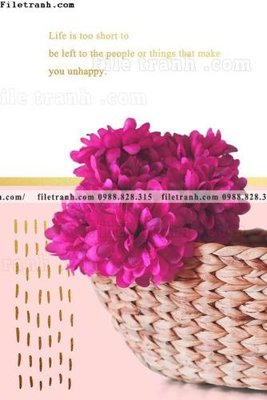 Tải file Chuoi tham my bac au 150 (PSD) cho in tranh 3D