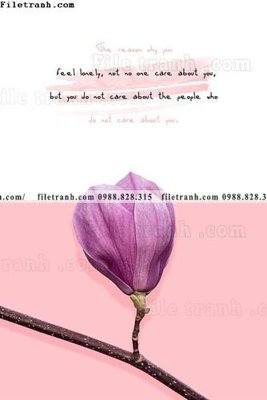 File tranh Chuoi tham my bac au 165 (file gốc) chủ đề phong thủy