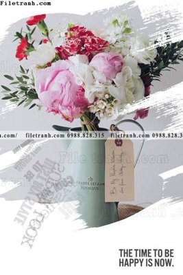 Tải file Chuoi tham my bac au 174 (PSD) cho in ấn quảng cáo