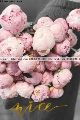 File in trần Chuoi tham my bac au 180 (bản gốc 3D) sống động