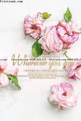 Chi tiết file ảnh Chuoi tham my bac au 186 sắc nét