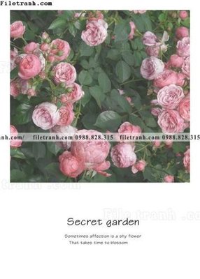 File tranh Chuoi tham my bac au 195 (ảnh gốc) in trần nhà