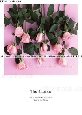 File in ấn Chuoi tham my bac au 197 (bản gốc) sắc nét