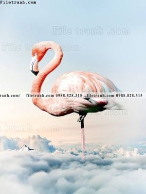 Mua file gốc Chuoi tham my bac au 198 (PSD) tại Filetranh.com