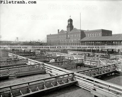 Tải file tranh Cow Town_ 1906 (ảnh gốc) ngay