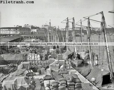 File PSD Cuban Cargo_ 1904 (bản gốc) chất lượng nhất