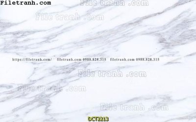 Download file gốc File vân đá cẩm thạch DCT2213 (in mica) trang trí