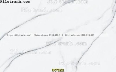 File gốc File vân đá cẩm thạch DCT2221 (in lụa) tranh thuận buồm