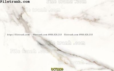 File tranh PSD File vân đá cẩm thạch DCT2239 chất lượng cao