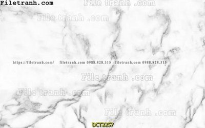 Tải file File vân đá cẩm thạch DCT2257 (PSD) cho in tranh 3D