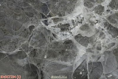 File gốc File vân đá cẩm thạch DCT234 (in lụa) hoa văn cổ điển