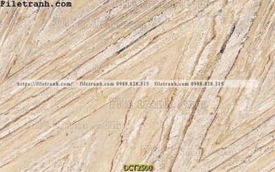 Mua file gốc File vân đá cẩm thạch DCT2500 (in ấn) tại Filetranh.com