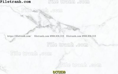 File tranh File vân đá cẩm thạch DCT2530 (ảnh gốc) độc quyền