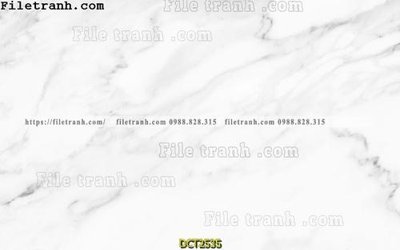 Tải file File vân đá cẩm thạch DCT2535 (ảnh gốc) file TIFF