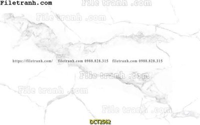 Tải file gốc File vân đá cẩm thạch DCT2562 (in khổ lớn) không vỡ