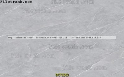 Tải file gốc File vân đá cẩm thạch DCT2563 (để in lụa)