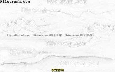 Tải file File vân đá cẩm thạch DCT2570 (ảnh gốc) file TIFF