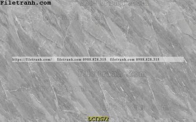 Download file gốc File vân đá cẩm thạch DCT2572 (in mica) logo