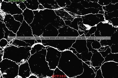 Tải file File vân đá cẩm thạch DCT389 (ảnh gốc) in gạch men
