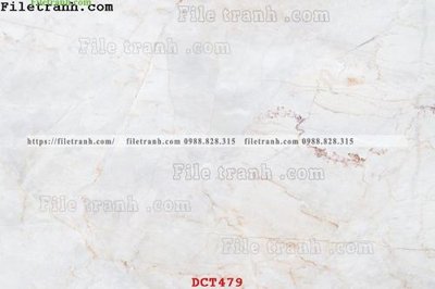 Tệp tin gốc File vân đá cẩm thạch DCT479 (chất lượng) File vân đá cẩm thạch DCT479