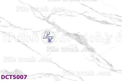 File gốc File gốc in tranh tổng hợp DCT5007 (in ấn) màu sắc trung thực