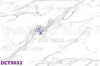 File tranh File gốc in tranh tổng hợp DCT5032 (ảnh gốc) độ nét vượt trội