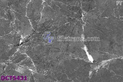 File in mica File gốc in tranh tổng hợp DCT5431 (bản gốc) sắc sảo