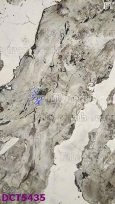 File tranh File gốc in tranh tổng hợp DCT5435 (gốc) chủ đề tĩnh vật