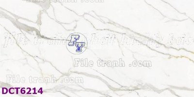 File tranh ảnh gốc File gốc in tranh tổng hợp DCT6214 dùng cho in khổ lớn